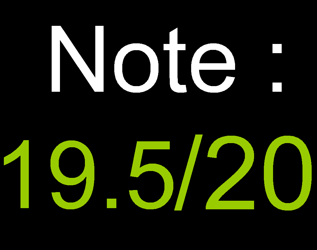 The Last Of Us note : 19,5/20 : tutoriels-informatique.fr