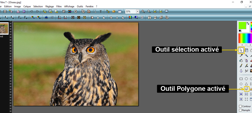 sélection de l'outil «Polygone» pour le détourage de notre élement