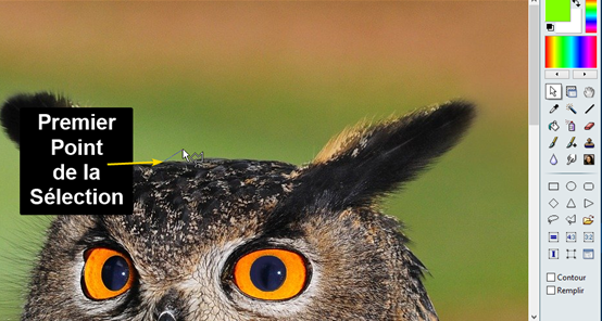 début du détourage avec le premier point de la sélection de l'élément