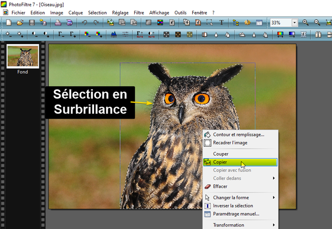 copie de la sélection de l'élément détouré dans le presse-papier