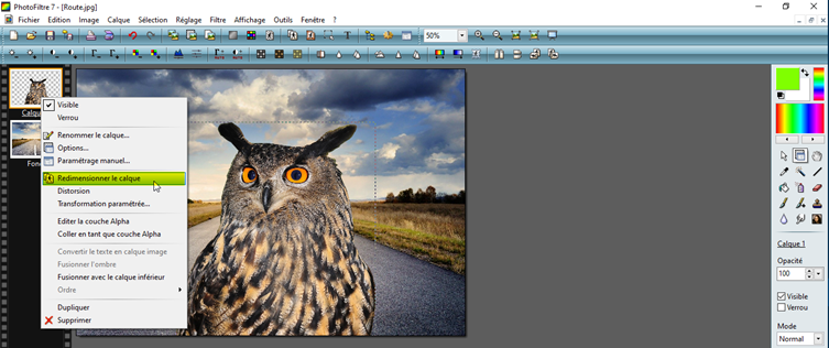 redimensionnement du calque, de notre élément précédemment détouré et coller sur une nouvelle image