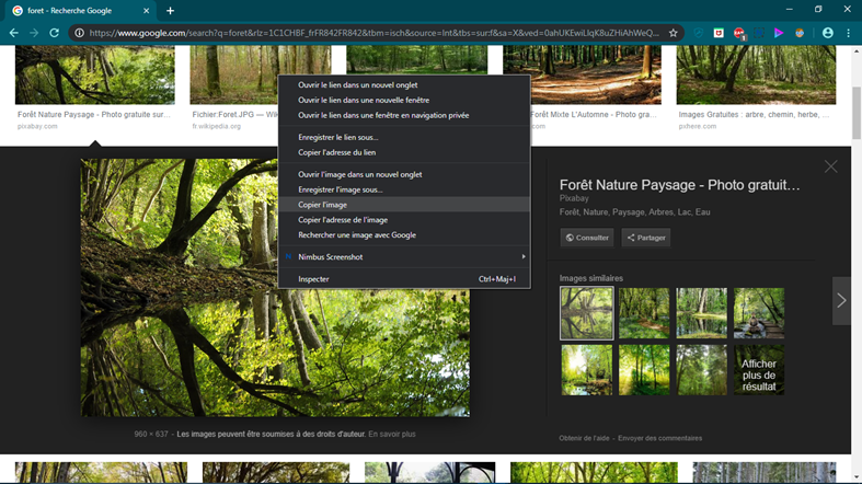 copie d'une image depuis Google image