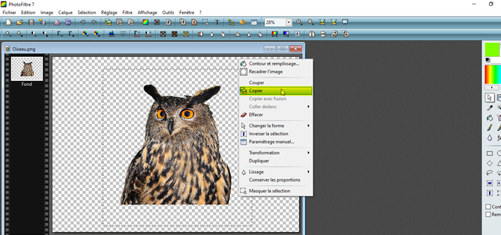 insertion rapide  d'un élement sauvegardé en .png sur une autre image