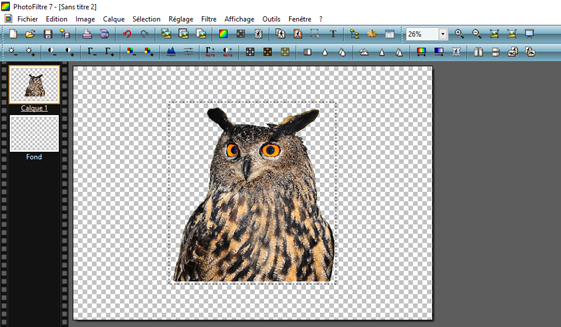 collage du calque de notre élement détouré sur l'image au fond transparent